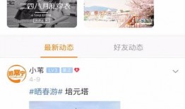 常宁新闻爆料,最新爆料揭示惊人真相！